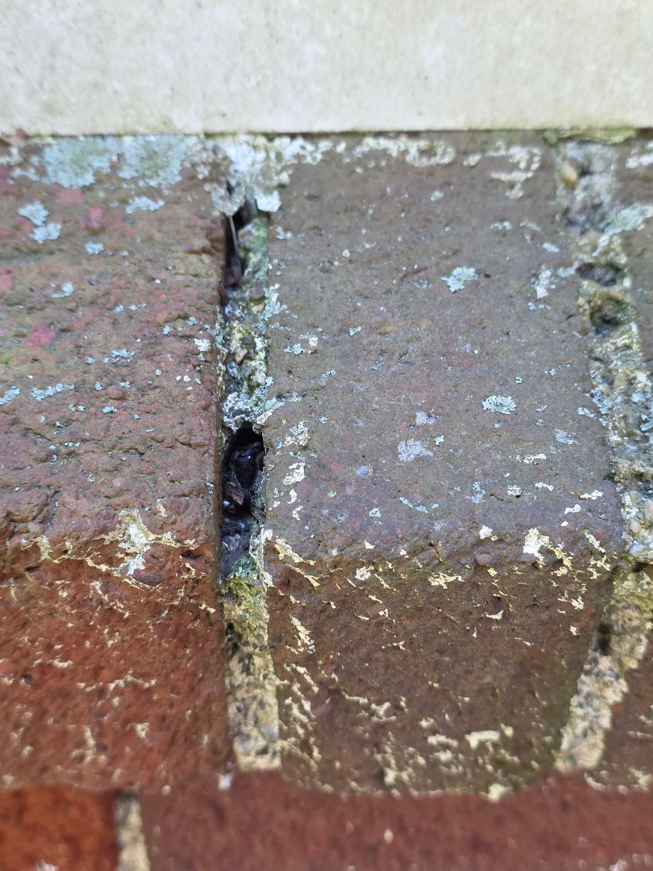 Before renovation - Brick Repointing